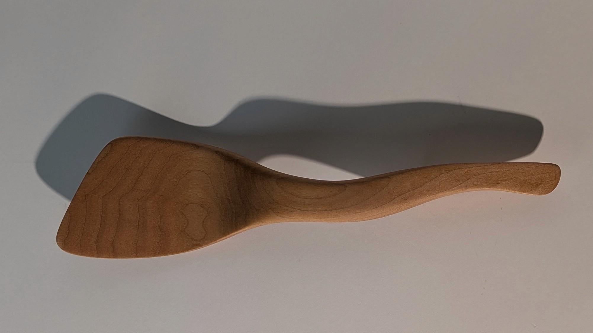 From a top view, the influence of my skeletal studies shows through the most. The handle portion was shaped mainly considering a right handed grip, where points of pressure determine the gradual width increase.