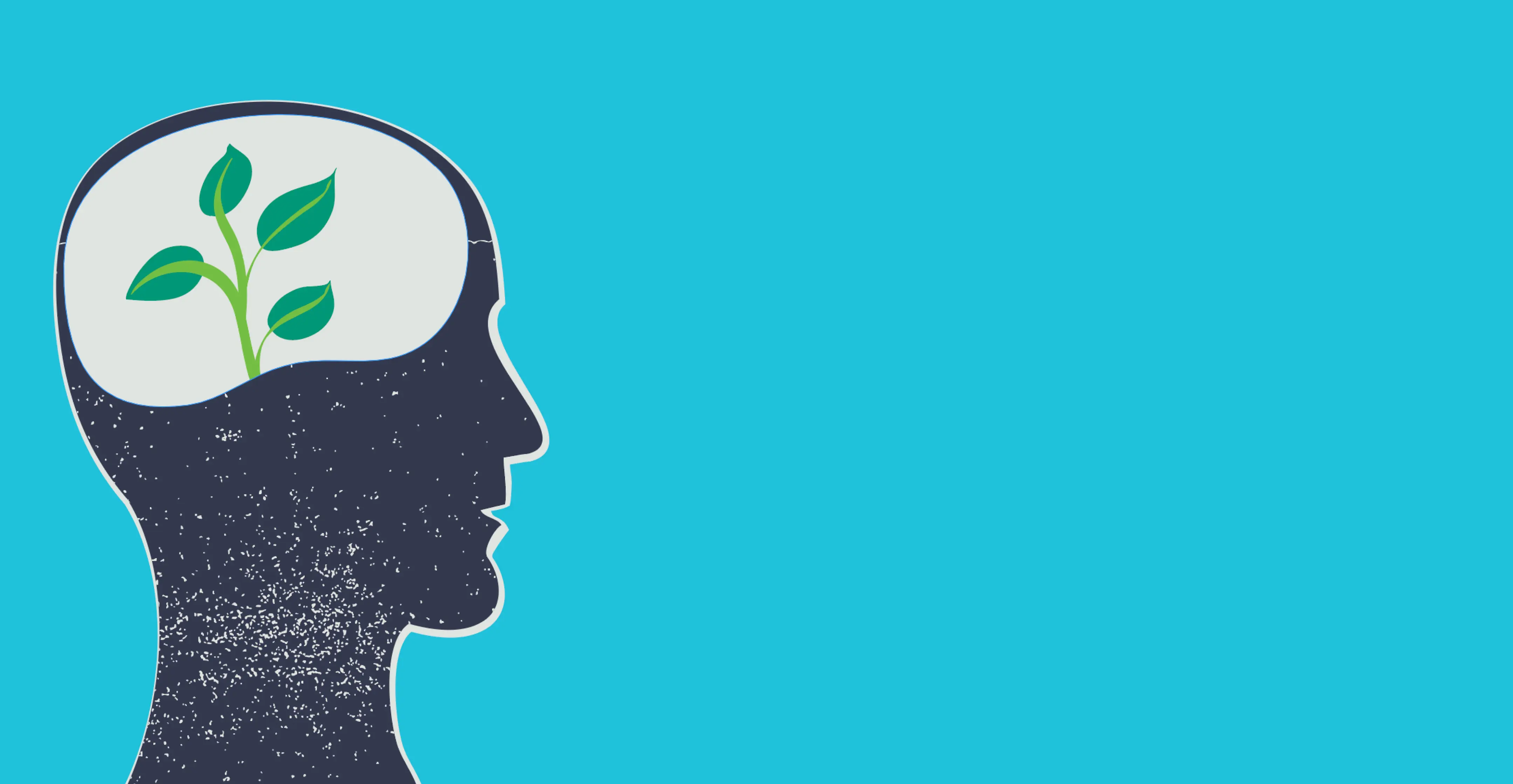 Illustration of a human head silhouette with a growing plant inside representing mindset growth and self-authorship