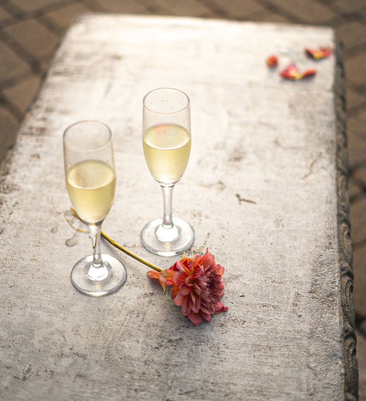 A vibrant bridal bouquet featuring a mix of red, pink, and purple flowers.