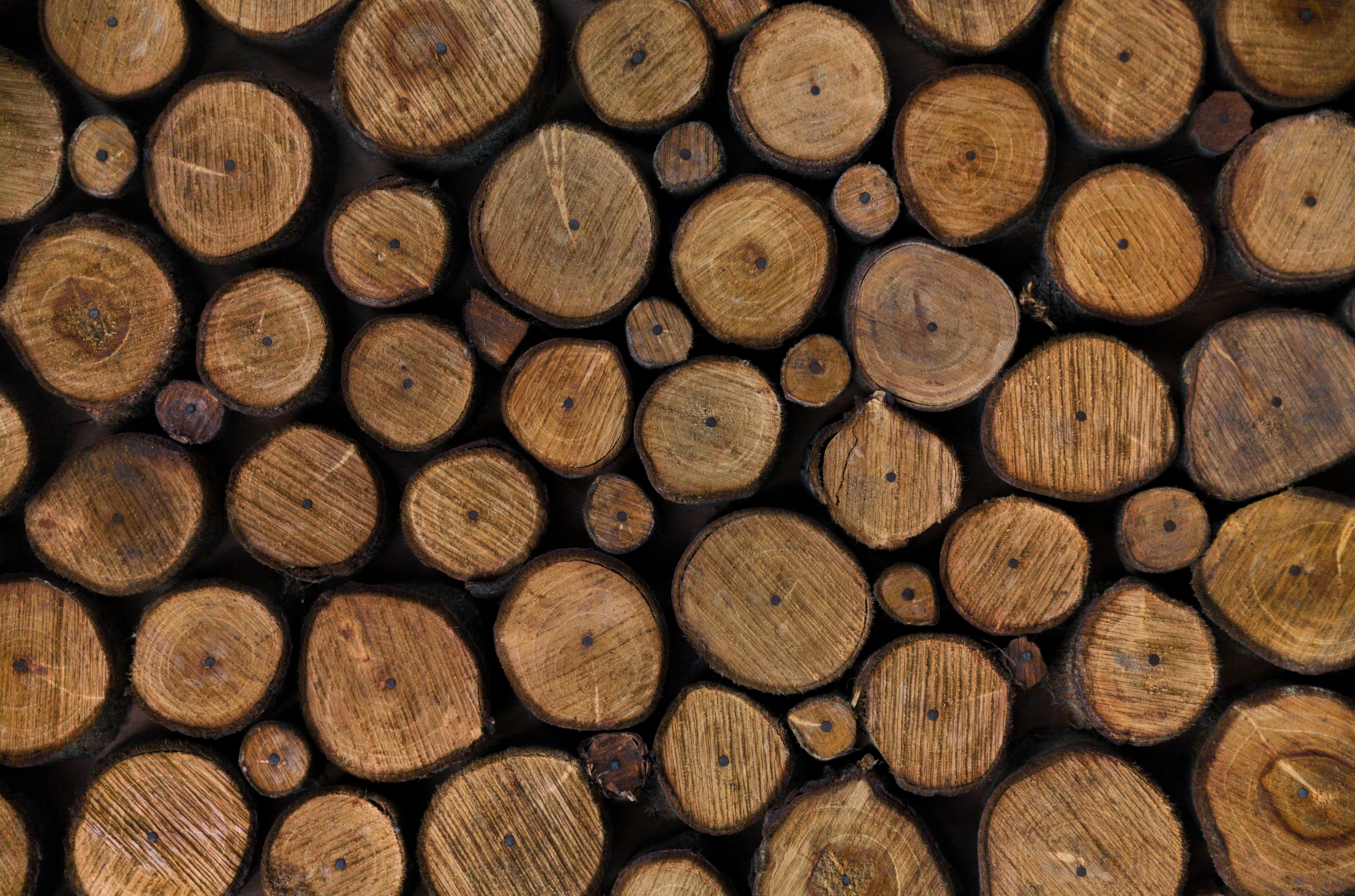 Braune Baumstämme nach der Holzernte, gestapelt im Wald.