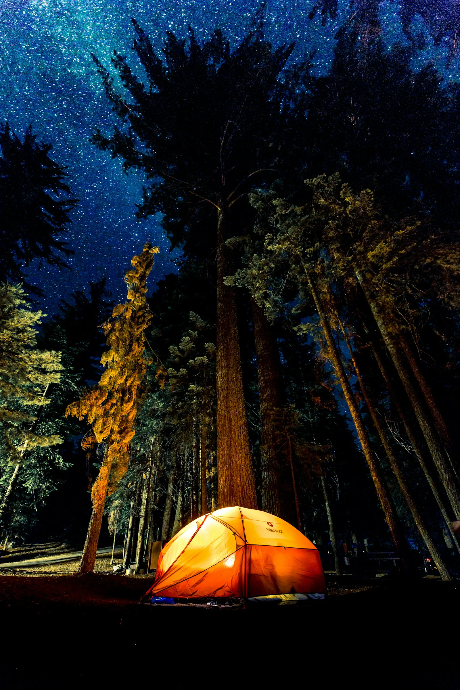The clearing on the Night Line, around 23:30