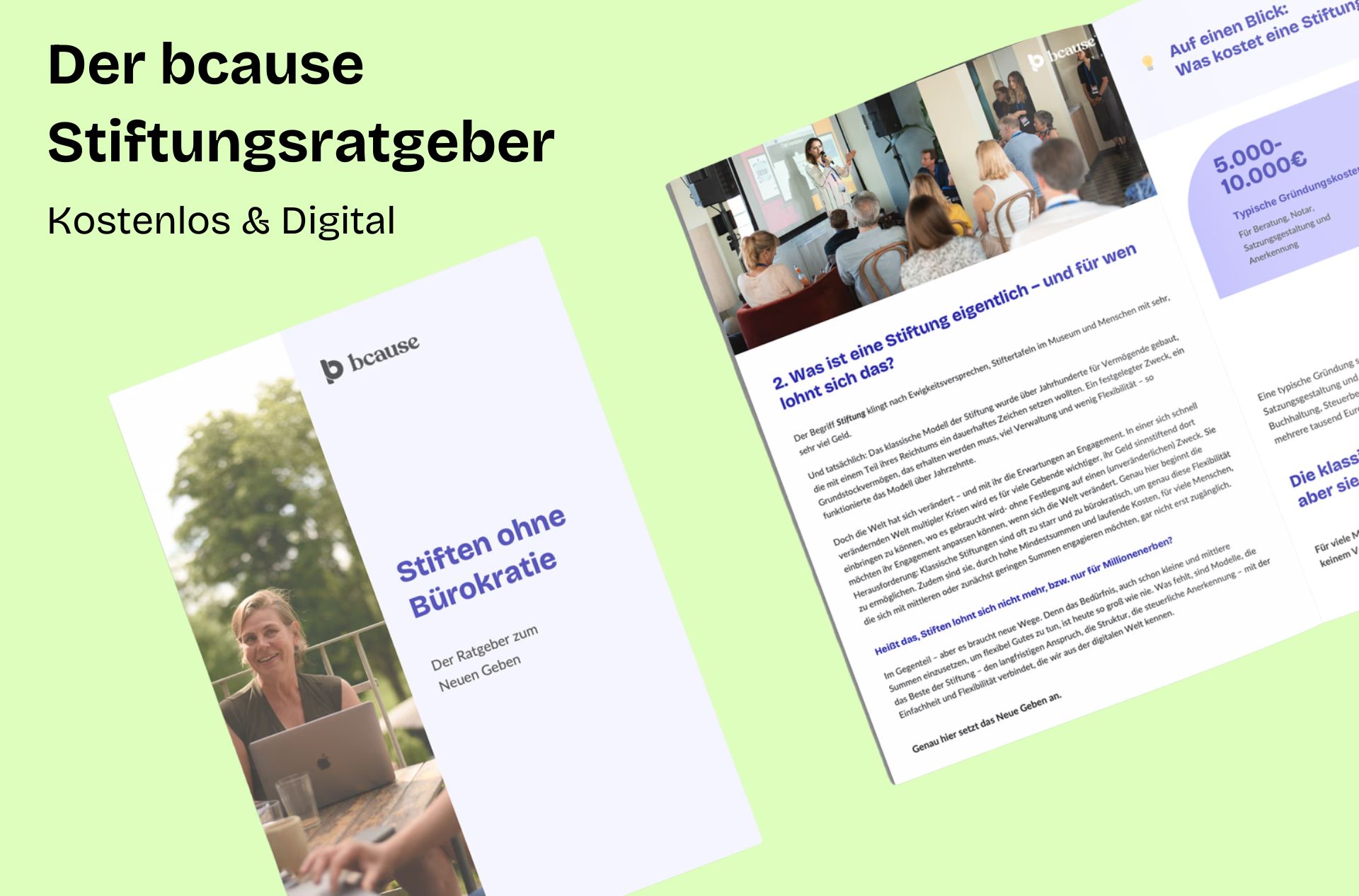 Vorstellung des bcause Stiftungsratgebers - Stiften ohne Bürokratie