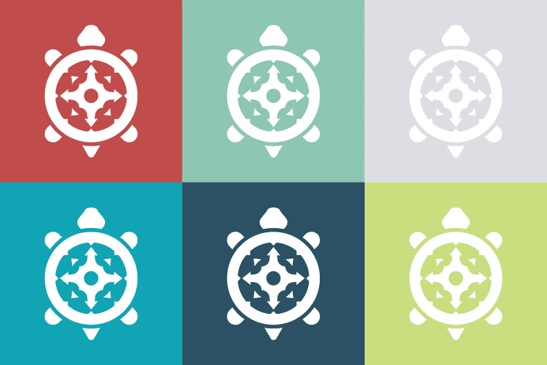 Turtle logo in brand colors