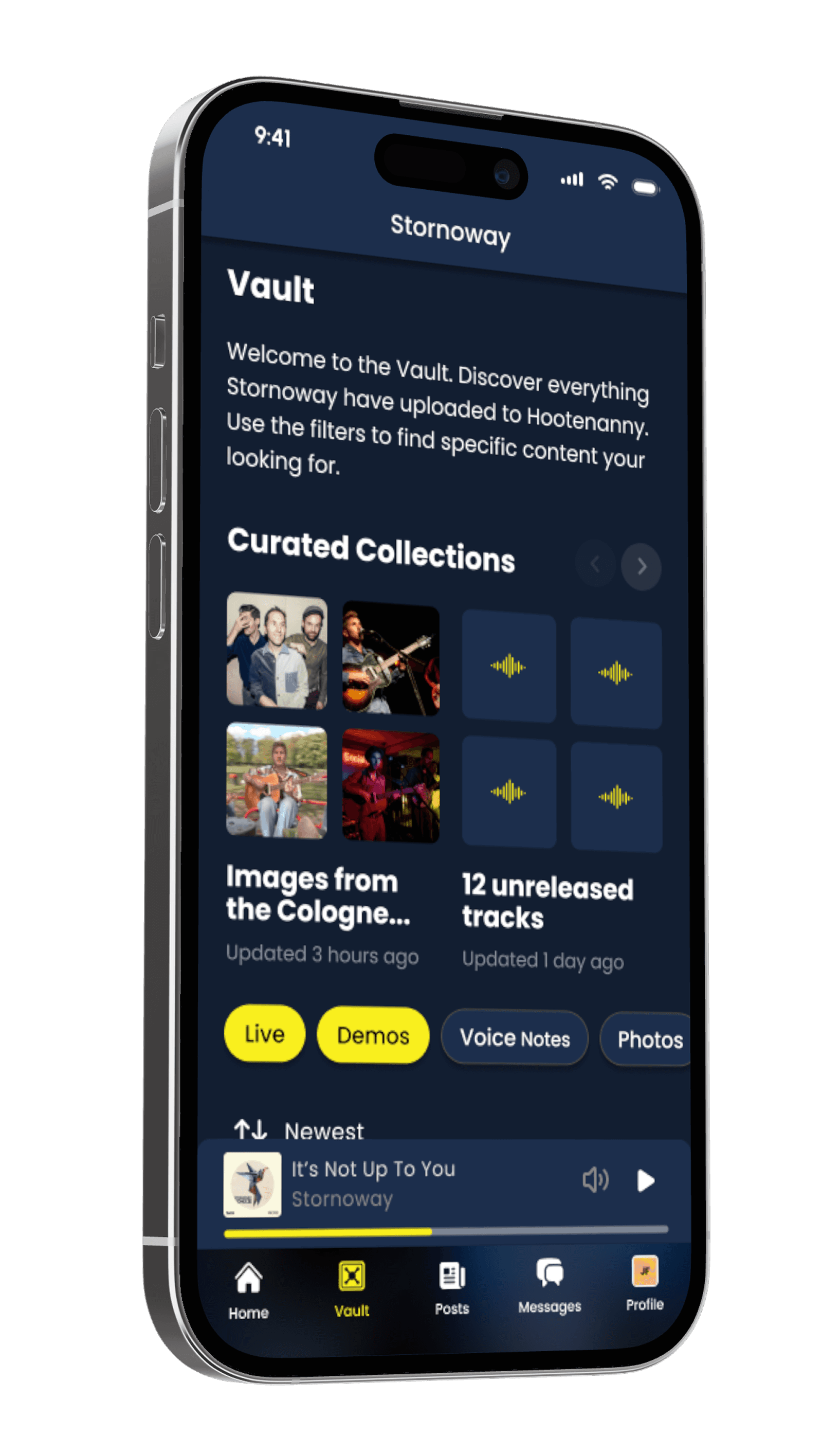 Mobile mockup of Hootenanny vault