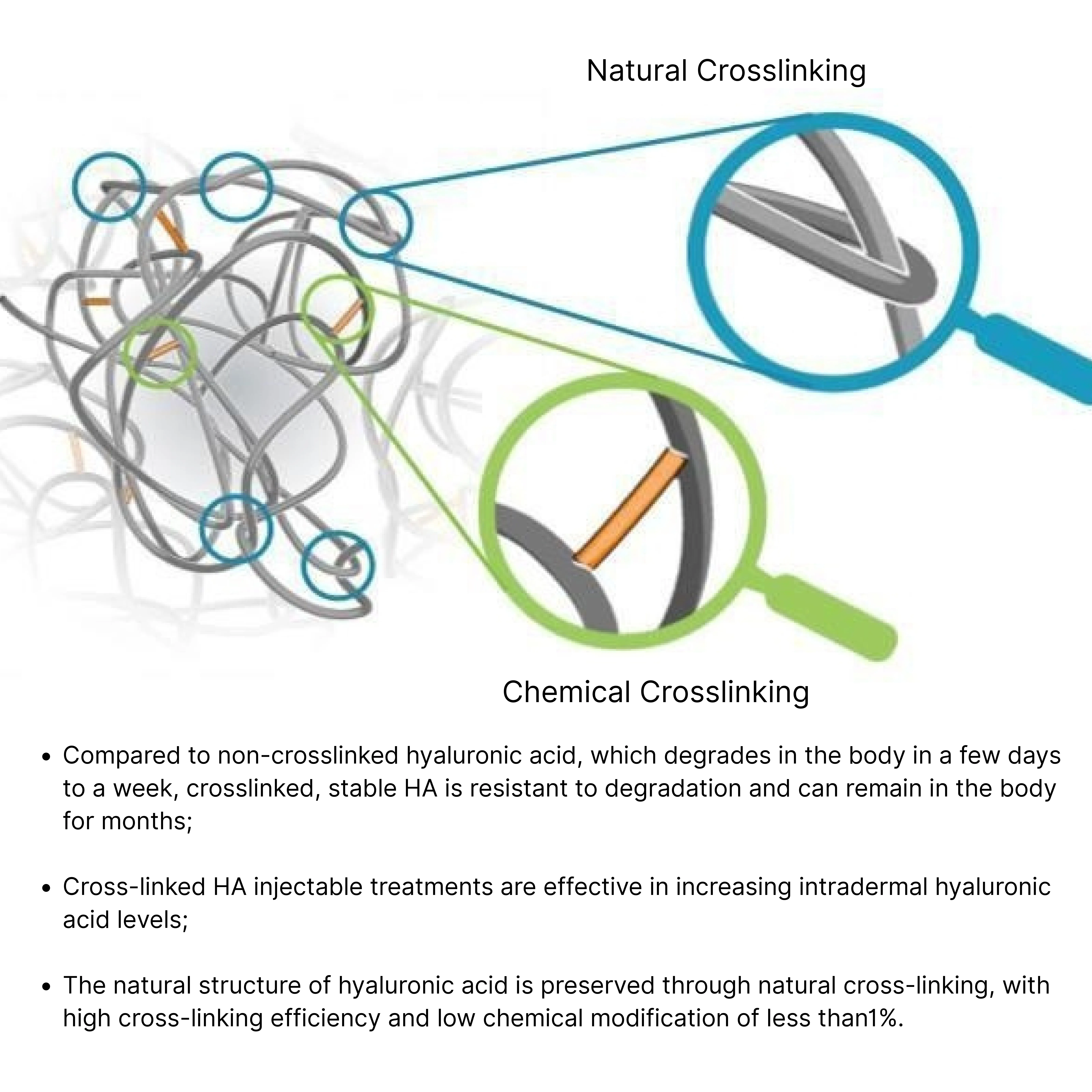 Cross-linked Hyaluronic Acid Sodium Gel Manufacturer