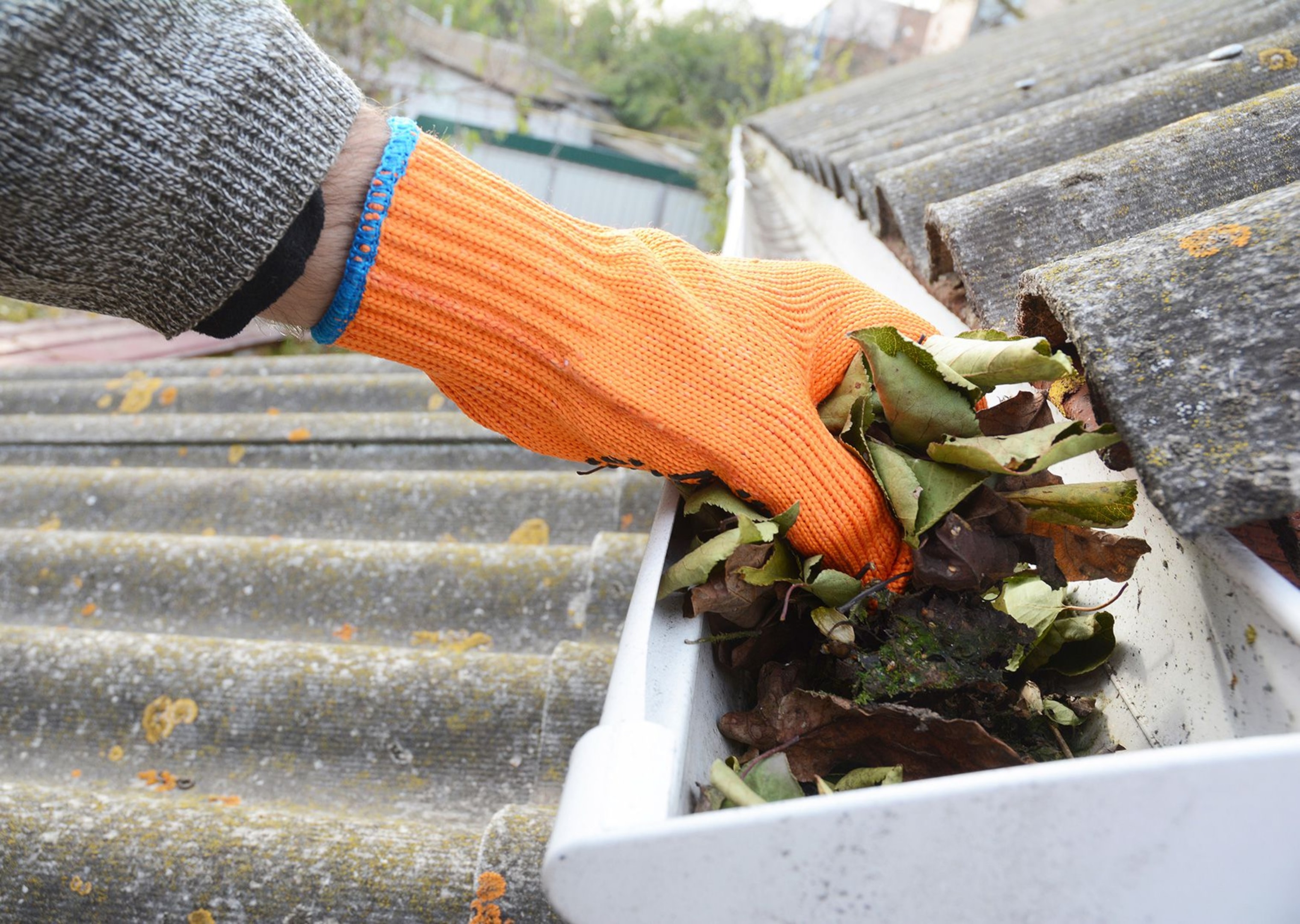 Why Roof and Gutter Cleaning