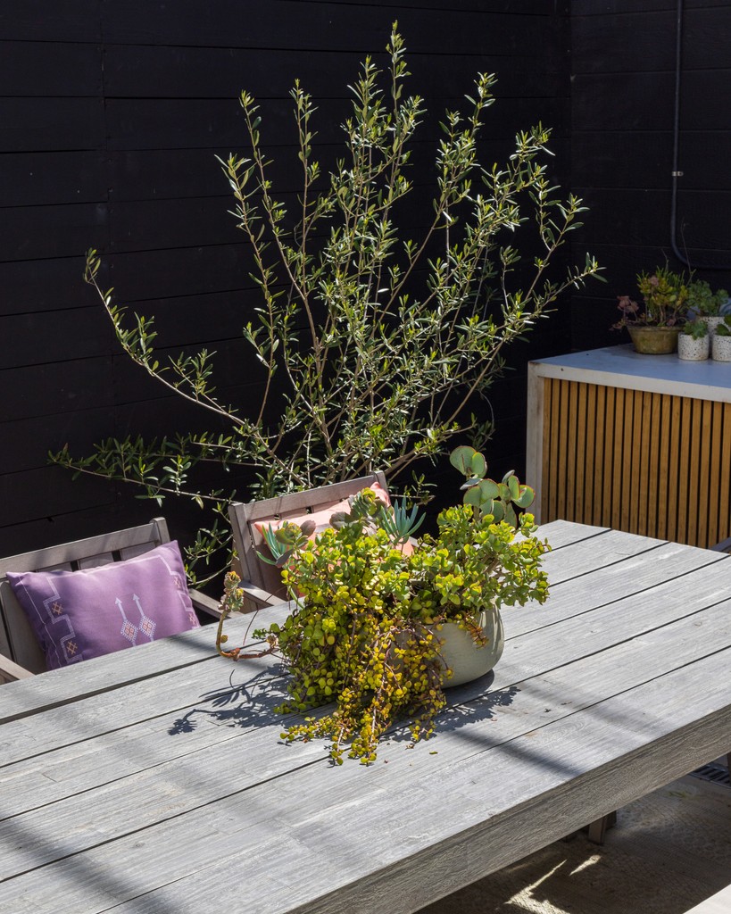 Image of modern living room