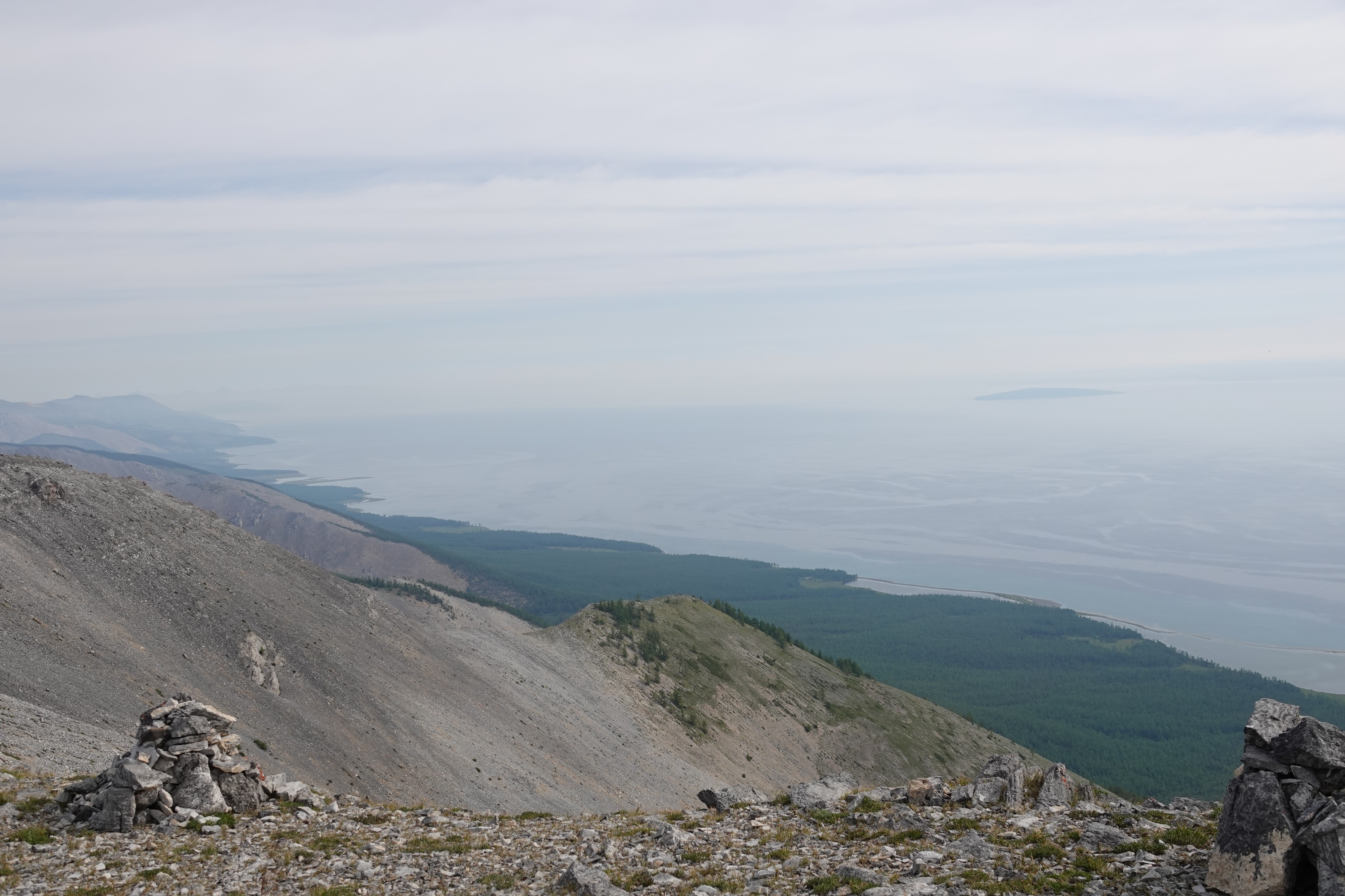 Close-up of vibrant purple flowers with droplets of water, creating a rich, textured background.