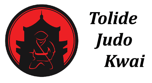 Tolide Logo silhouette of martial artist kneeling against an outline of japanese temple in a red circle 