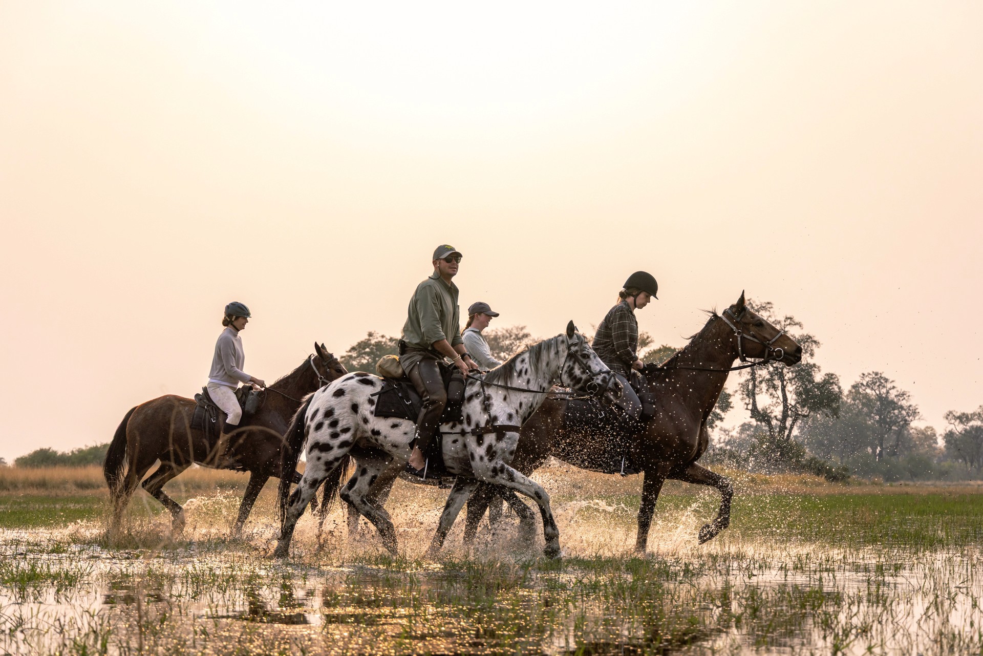 Kujwana Delta Ride, Okavango Delta Botswana. Fyra ryttare till häst på ridsemester travar genom en av deltats låga flodmarker i skymningen.