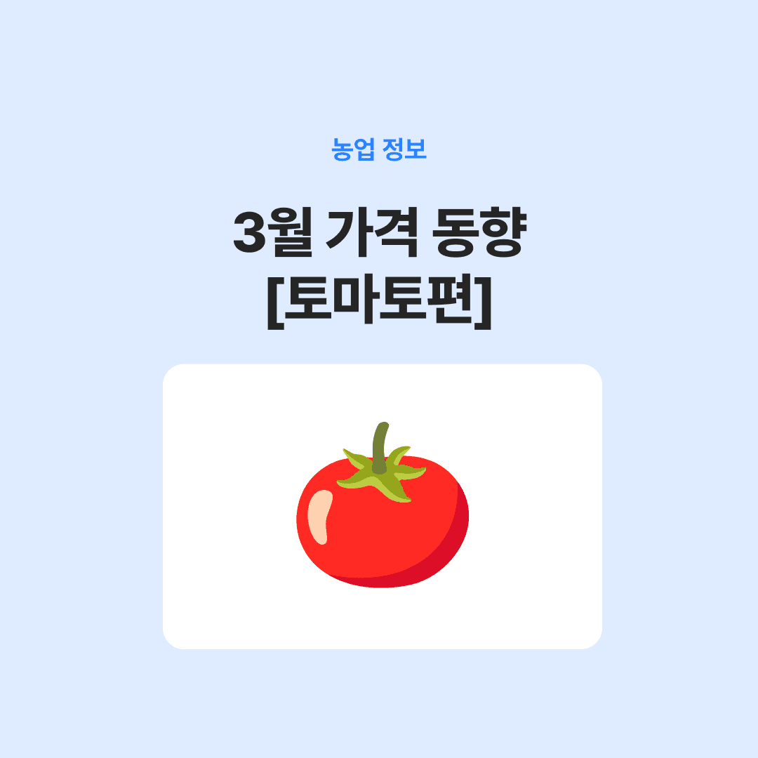 3월 가격 동향 [토마토편]