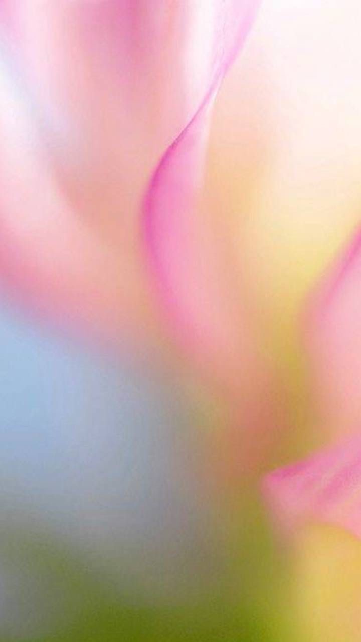 A close-up shot of a woman with long dark hair blowing across her face, revealing one eye. She wears a white shirt with a single yellow flower tucked in, set against a blue sky.