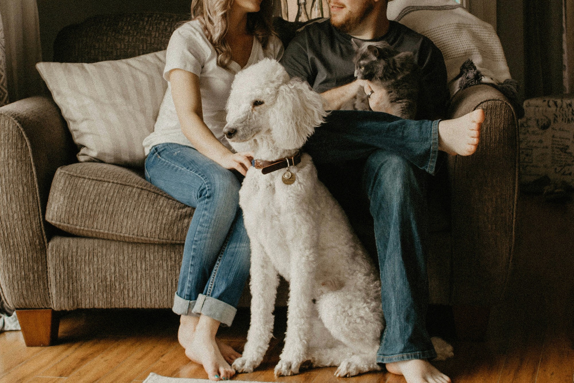 Couple sitting on a couch with a white poodle and a gray cat, creating a cozy and warm atmosphere