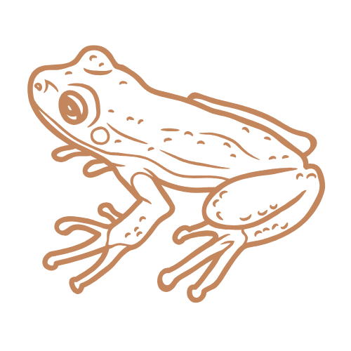 Amphibians