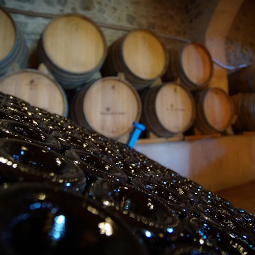 Uživajte u obilasku vinarije