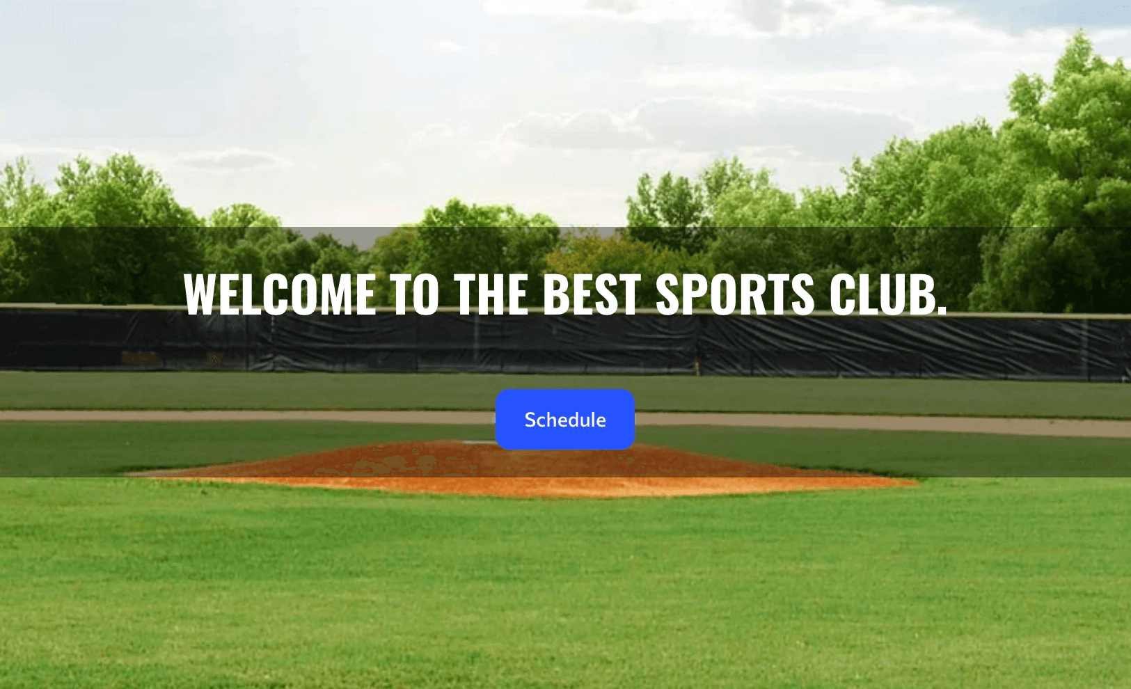 TeamLinkt's Website Builder Button Screenshot