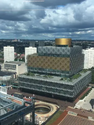 Flying Insects Control Birmingham