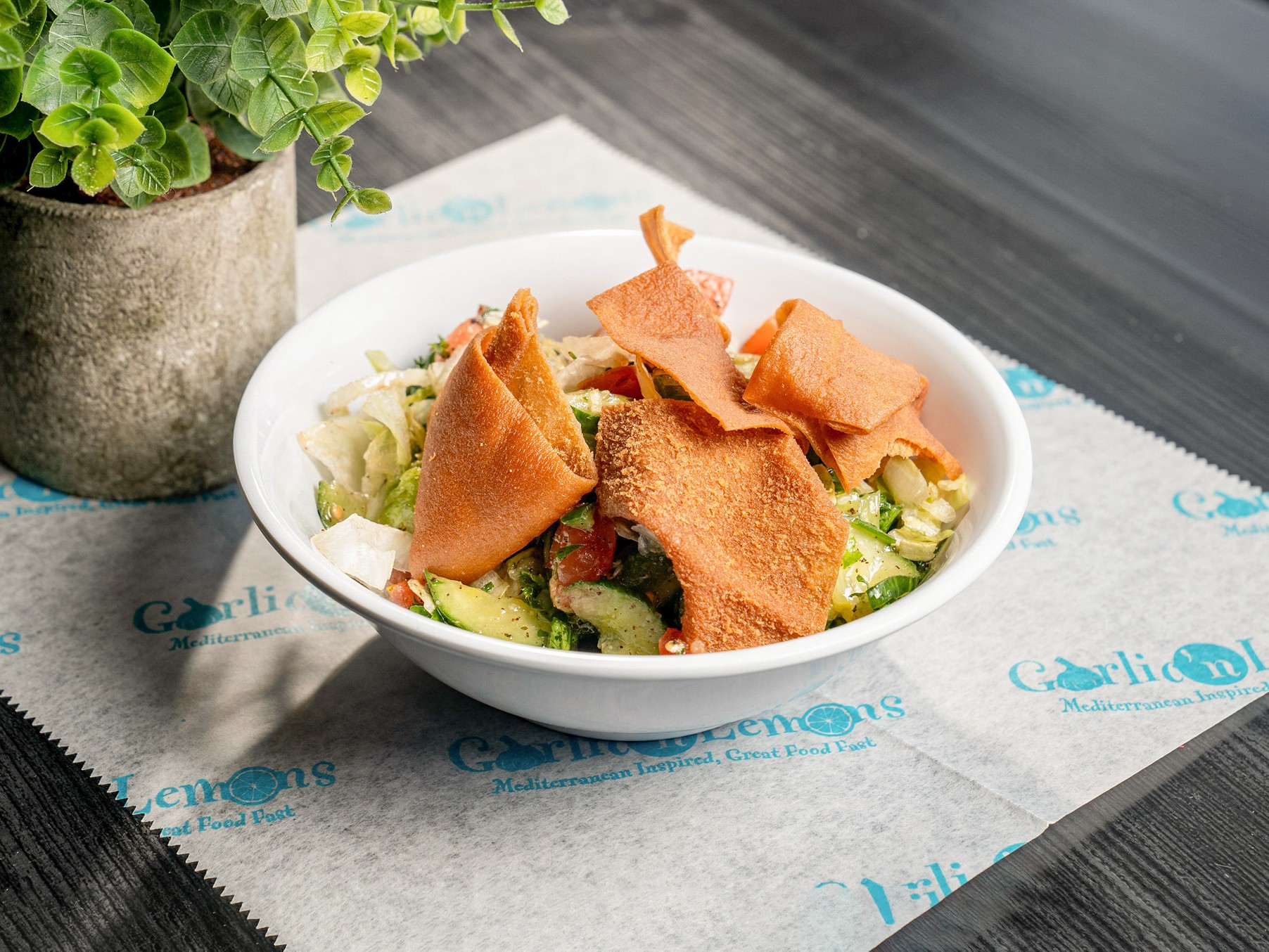 Top-Rated Vegetarian Restaurant in Boston