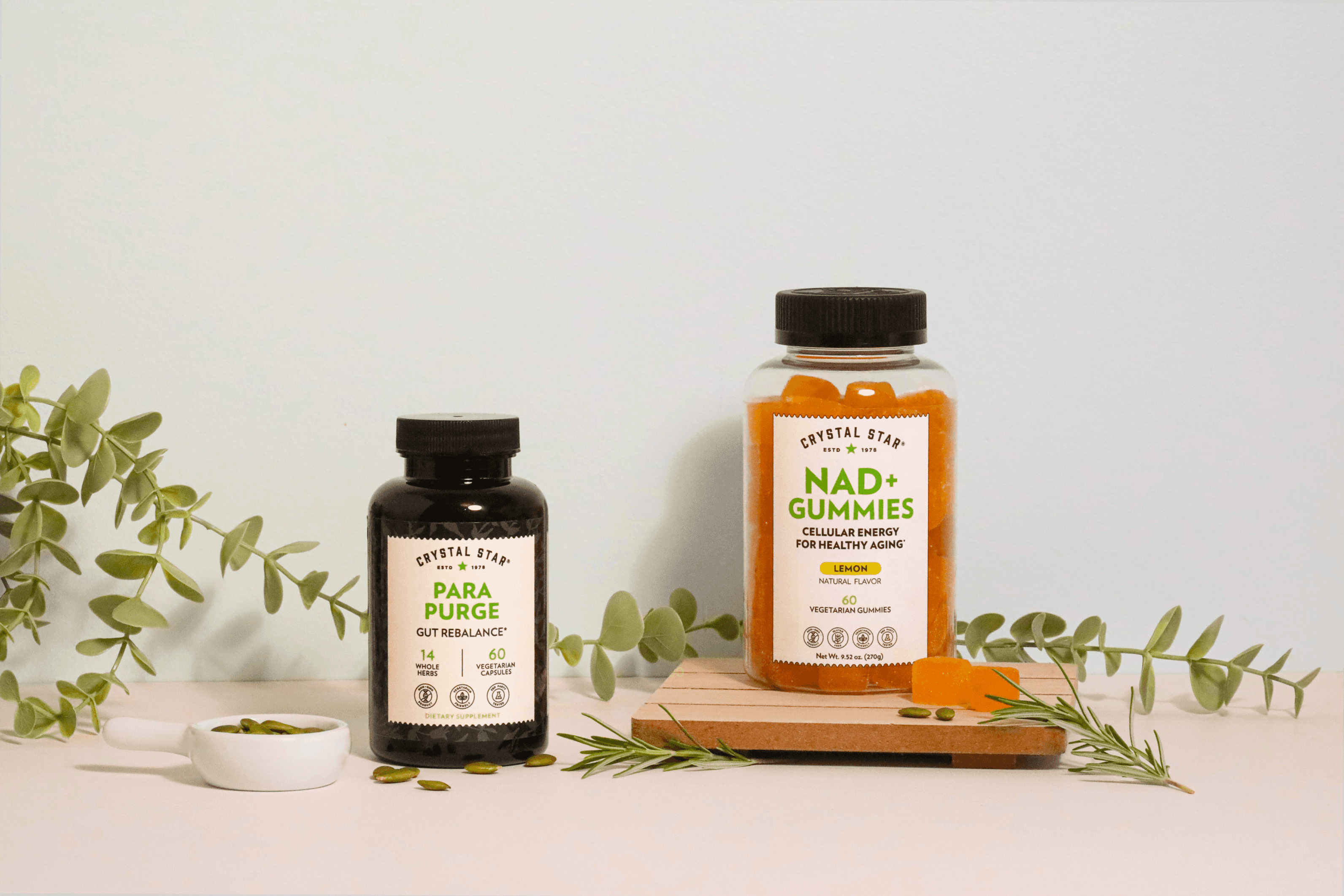 Premium UX Template for Framer