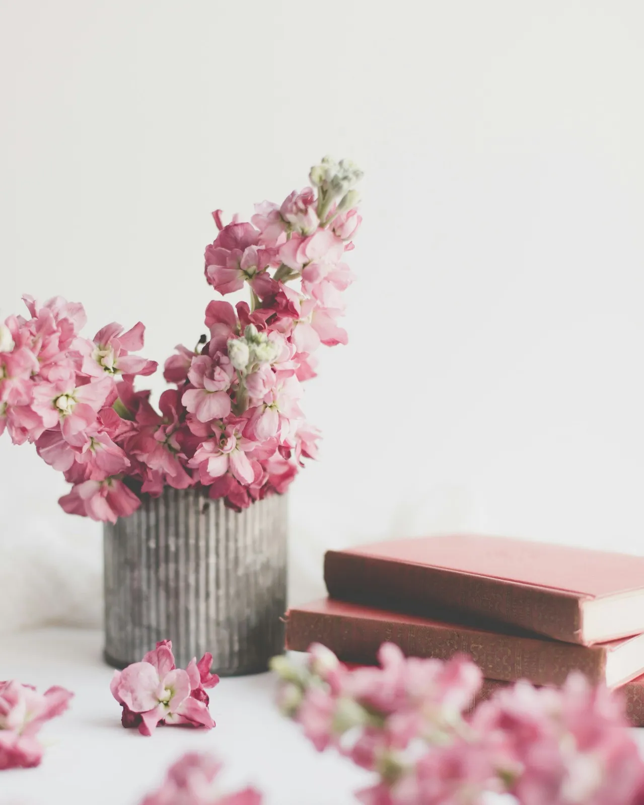 Pot de fleurs posé à côté de livres, créant une atmosphère apaisante et bienveillante