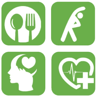 Freelance UI/UX Designer