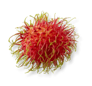 เงาะโรงเรียนอบแห้ง Dried Rambutan สำหรับส่งออก