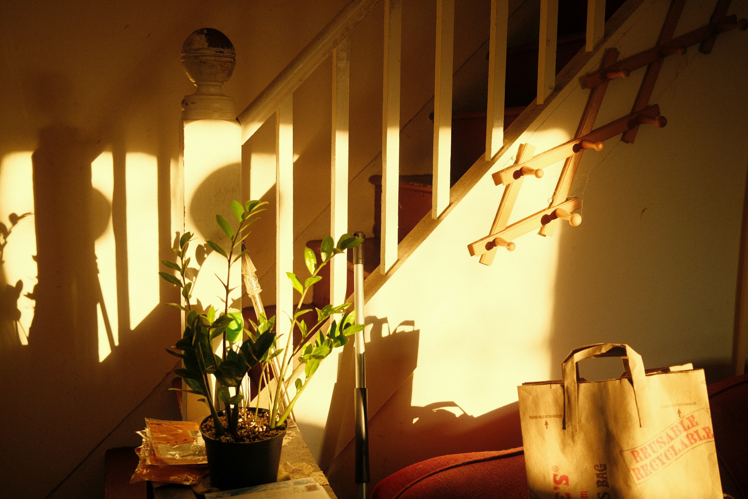 natural sunlight - Benefits of Morning Sunlight