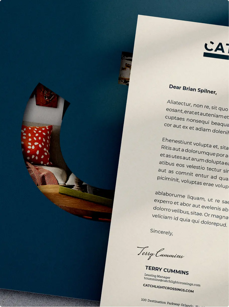 Dom Pérignon vineyards from the sky