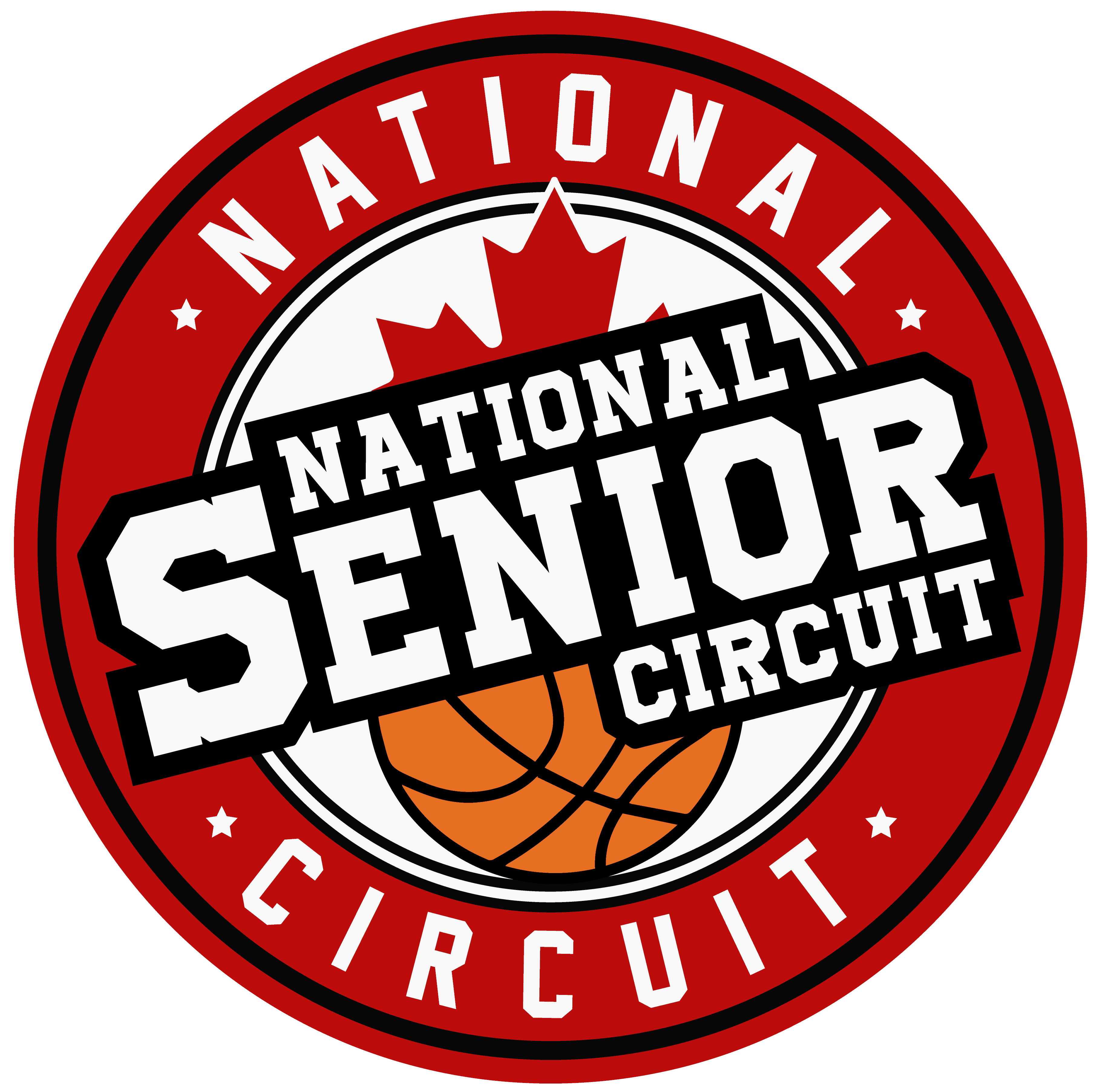 A TeamLinkt Sports League Partner Logo 