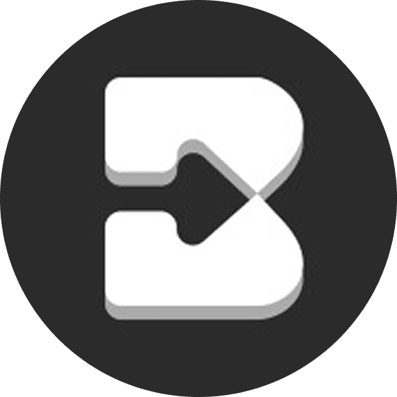 Brisk Teaching Logo
