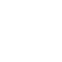 Branching connection nodes