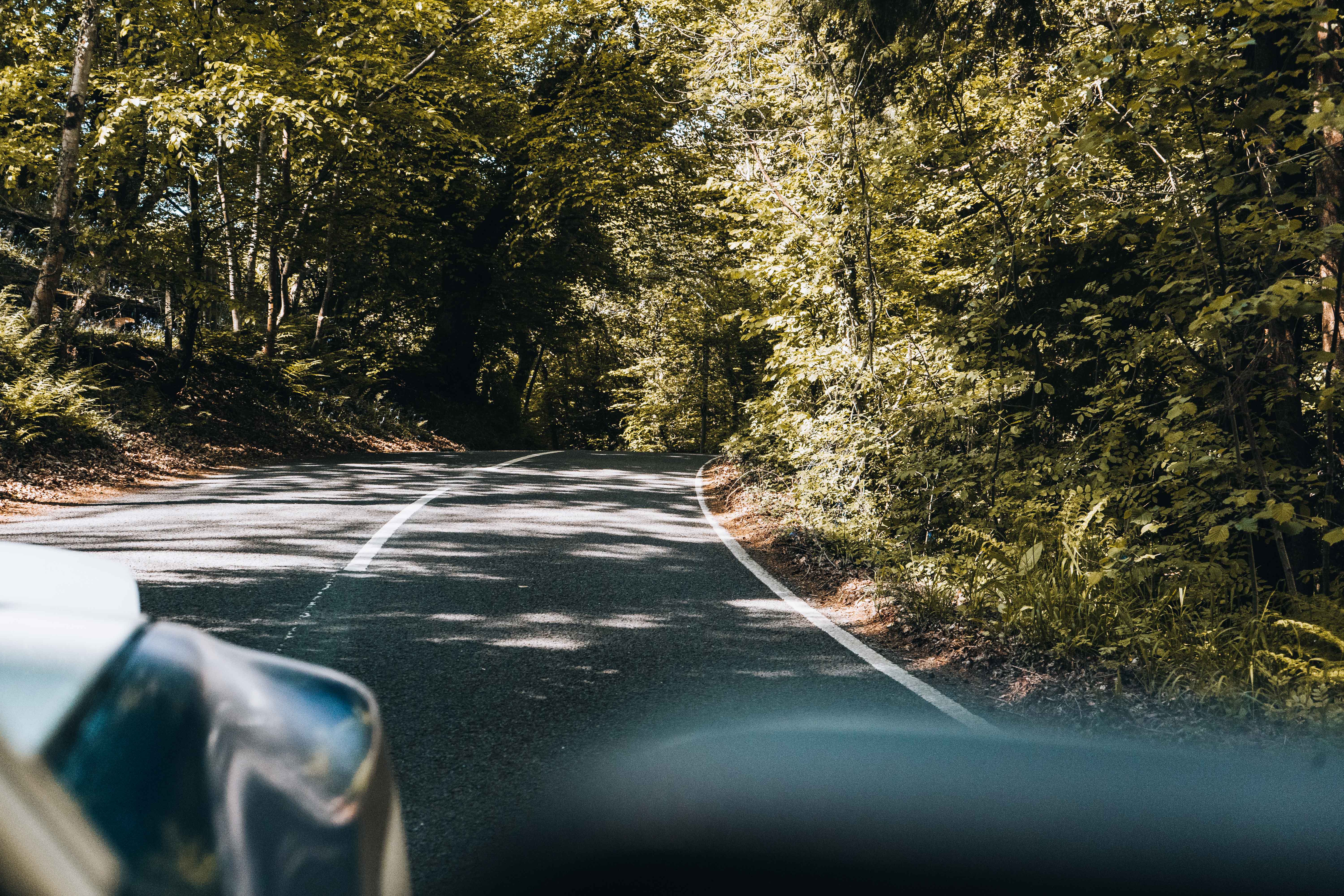 Scenic desert landscape with rocky hills and warm evening light in AlUla.