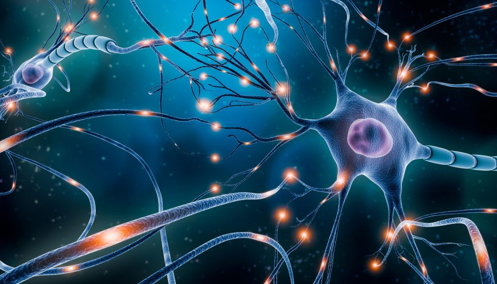 Magnésio L Treonato e a melhora nas funções cognitivas.