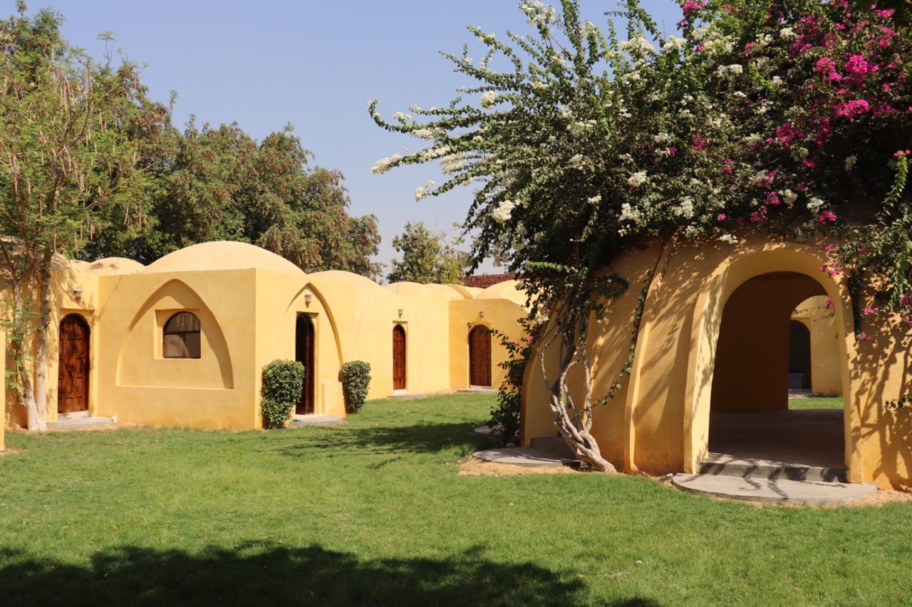 Inner Wealth Reset accommodation surrounded by peaceful gardens