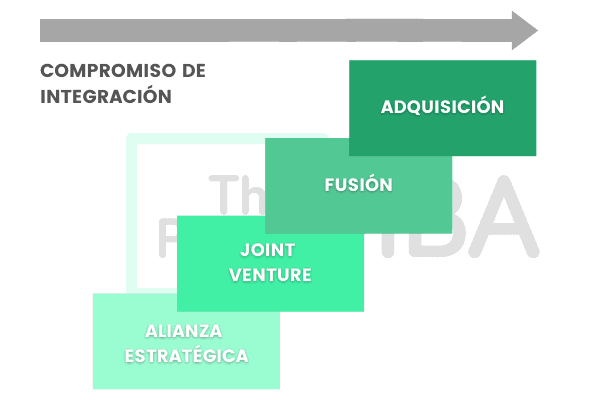 crecimiento inorganico