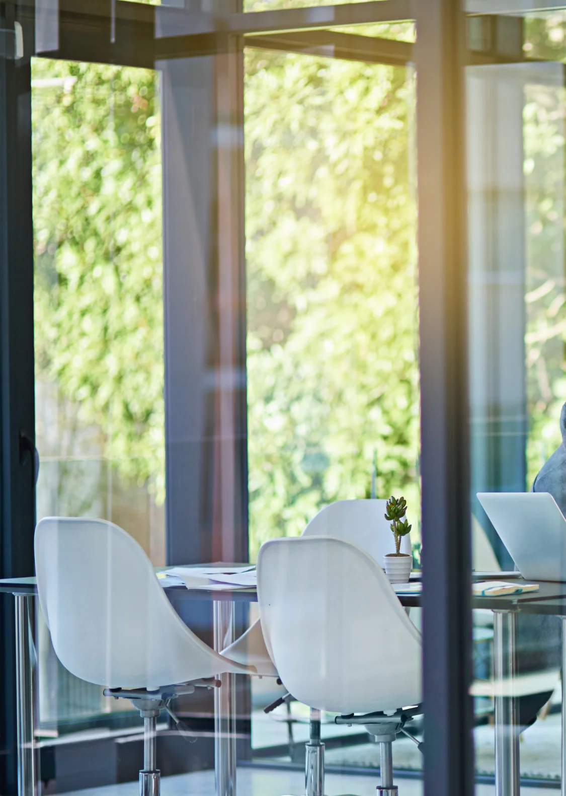 People in a business meeting