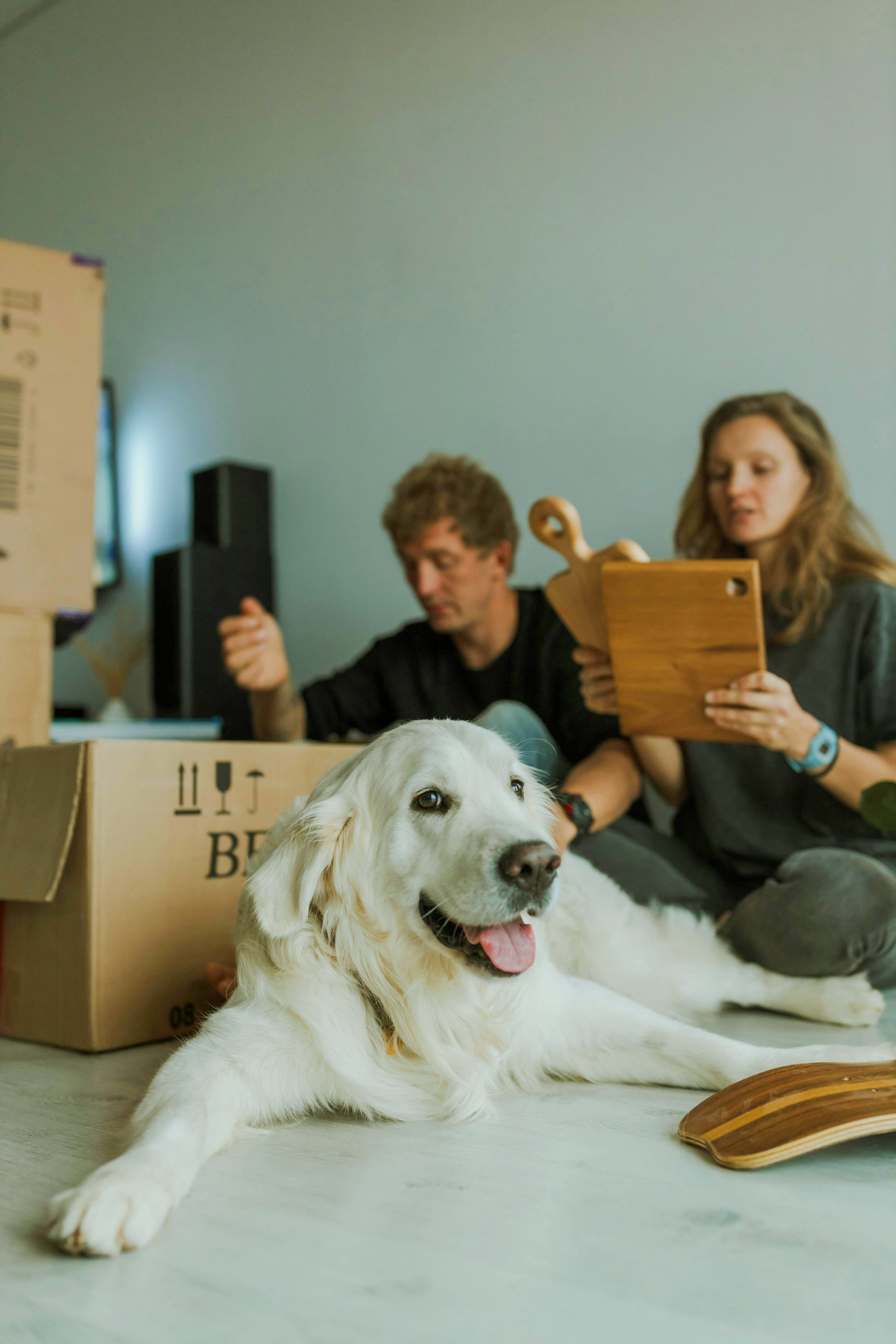 A couple with a Labrador packing and organizing items in their house.