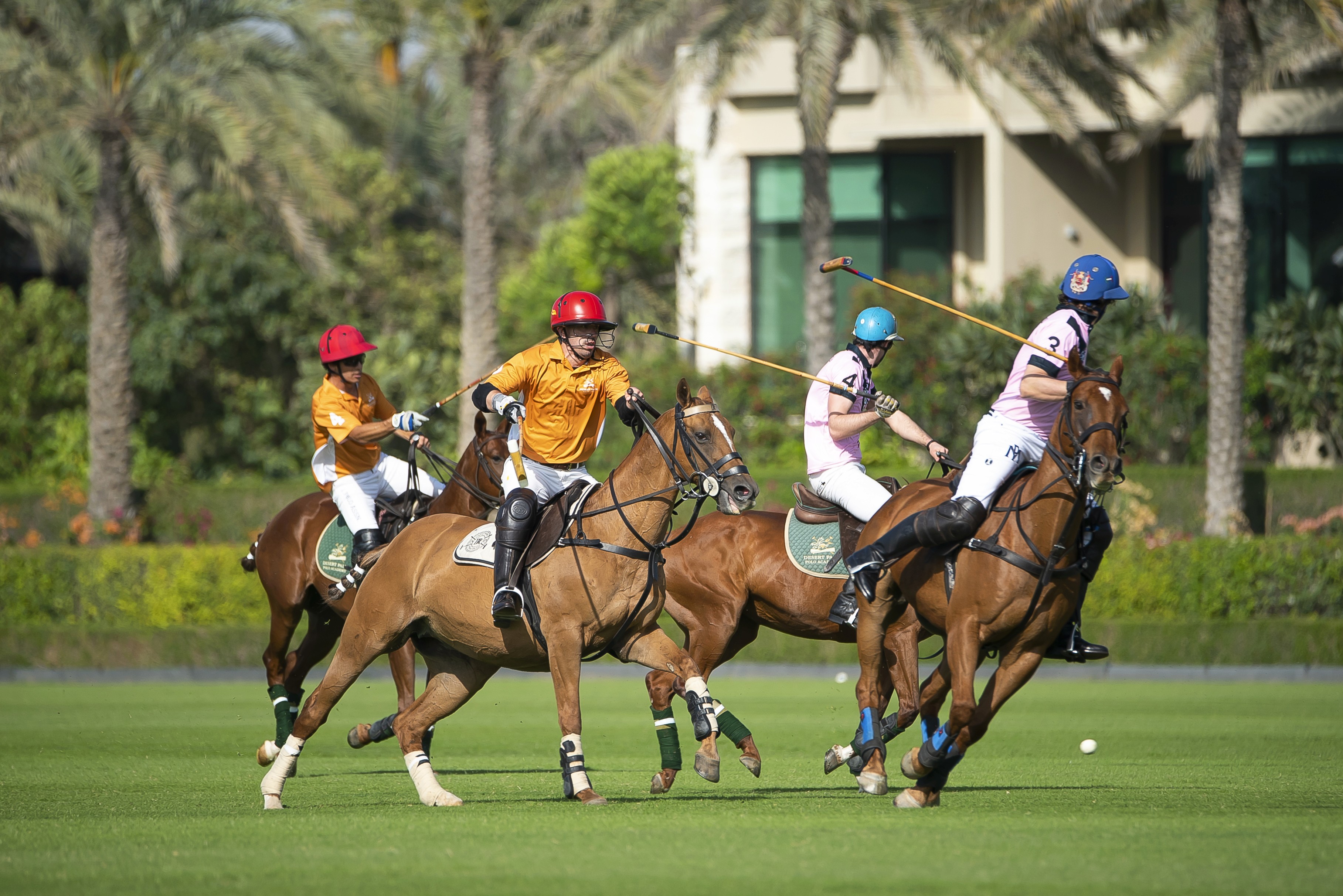 Polo match at Desert Palm Equestrian Center