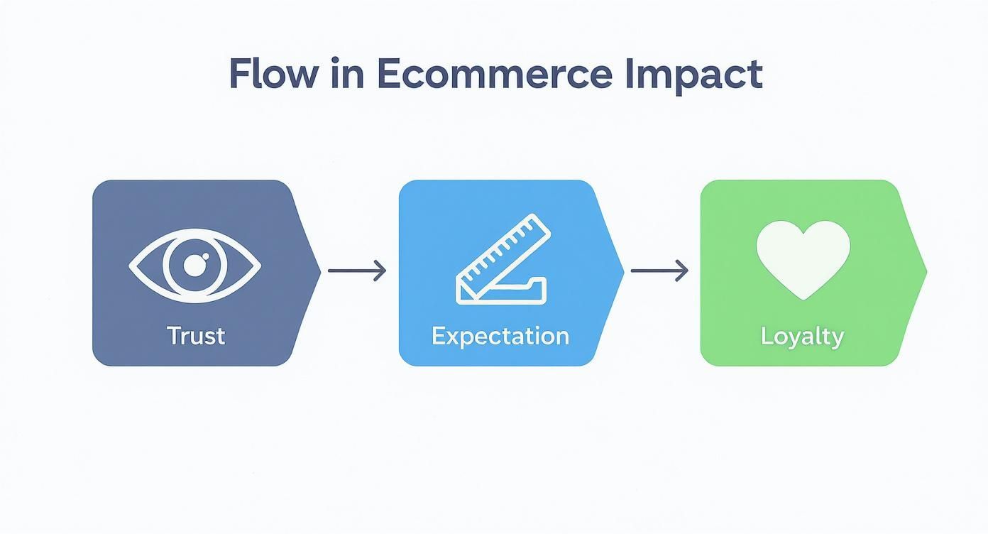Flow diagram showing customer journey from trust through expectation to loyalty in ecommerce