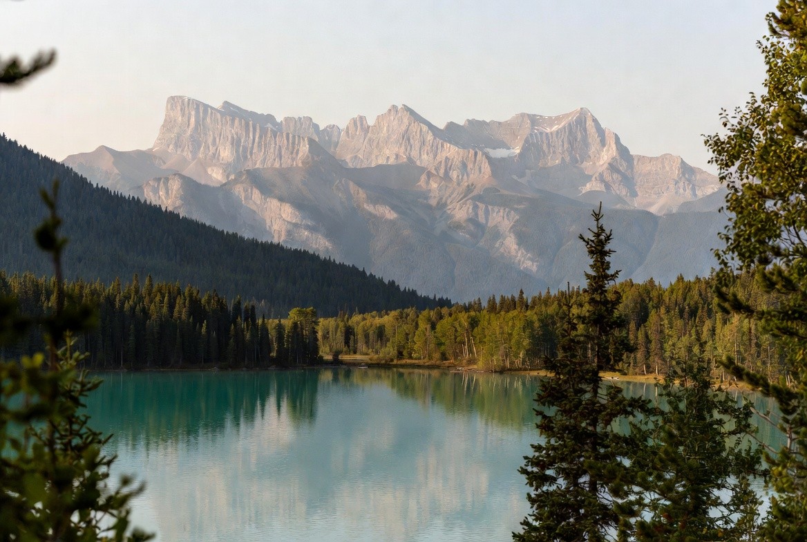 Coach explaining something to an athlete