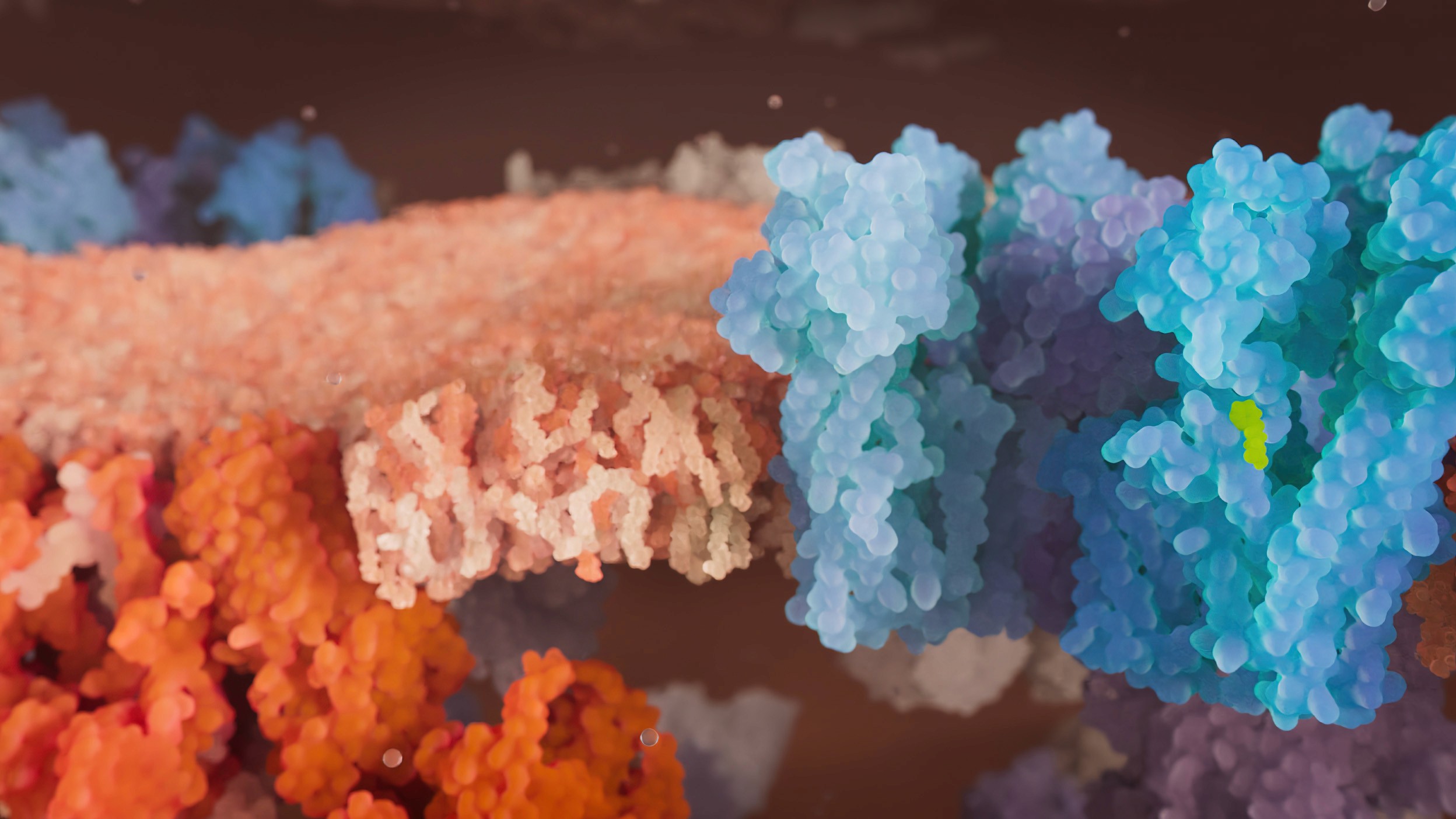 Closed MPT-pore and K+-sensitive ATP channel in the mitochondrial membrane