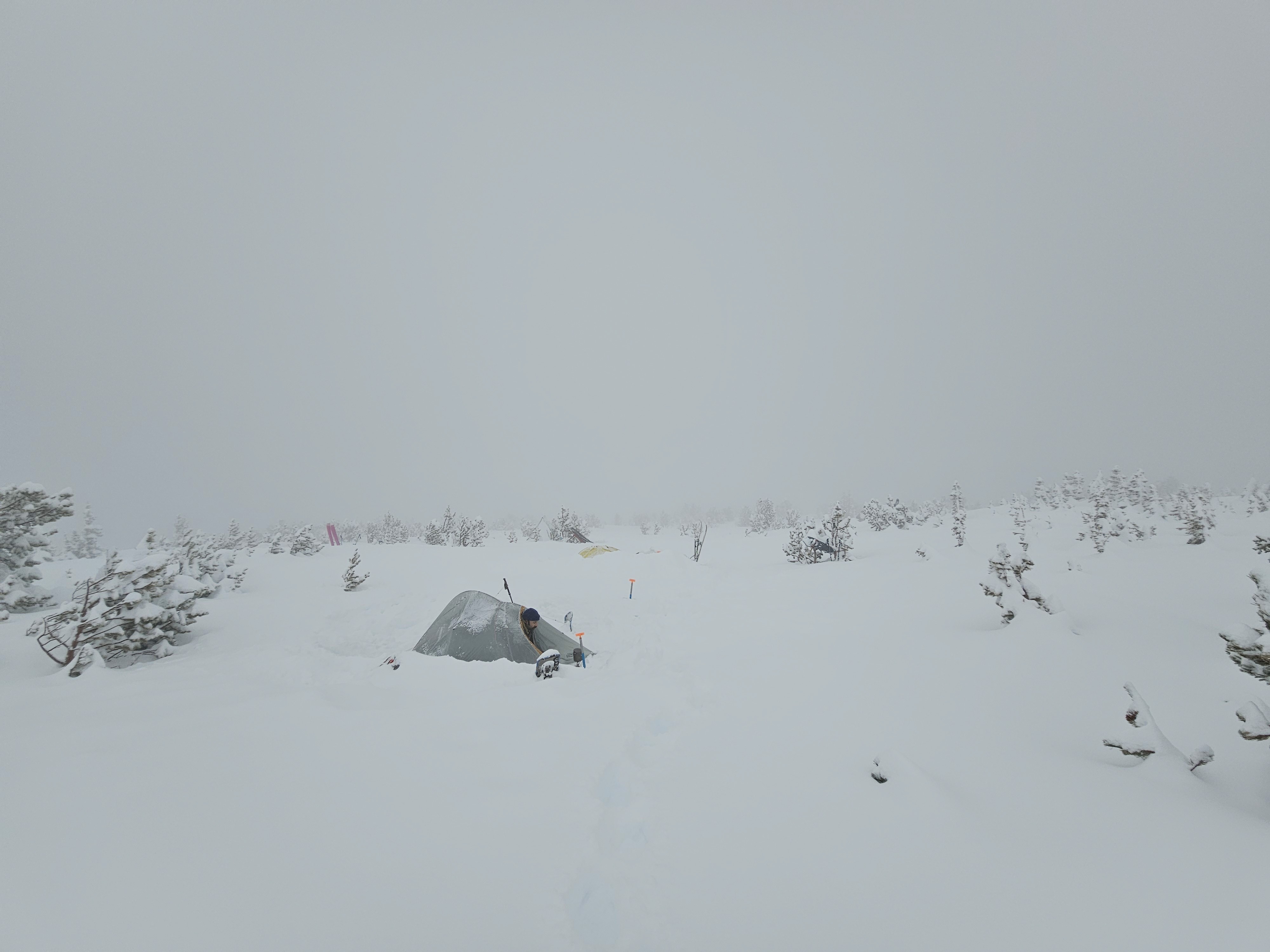 Climber pokes there head out of tent in a white out.