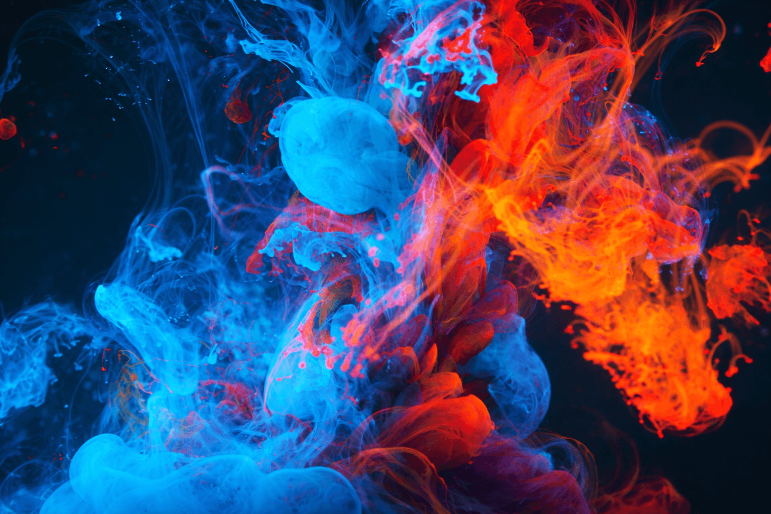 Blog Content Image - 2