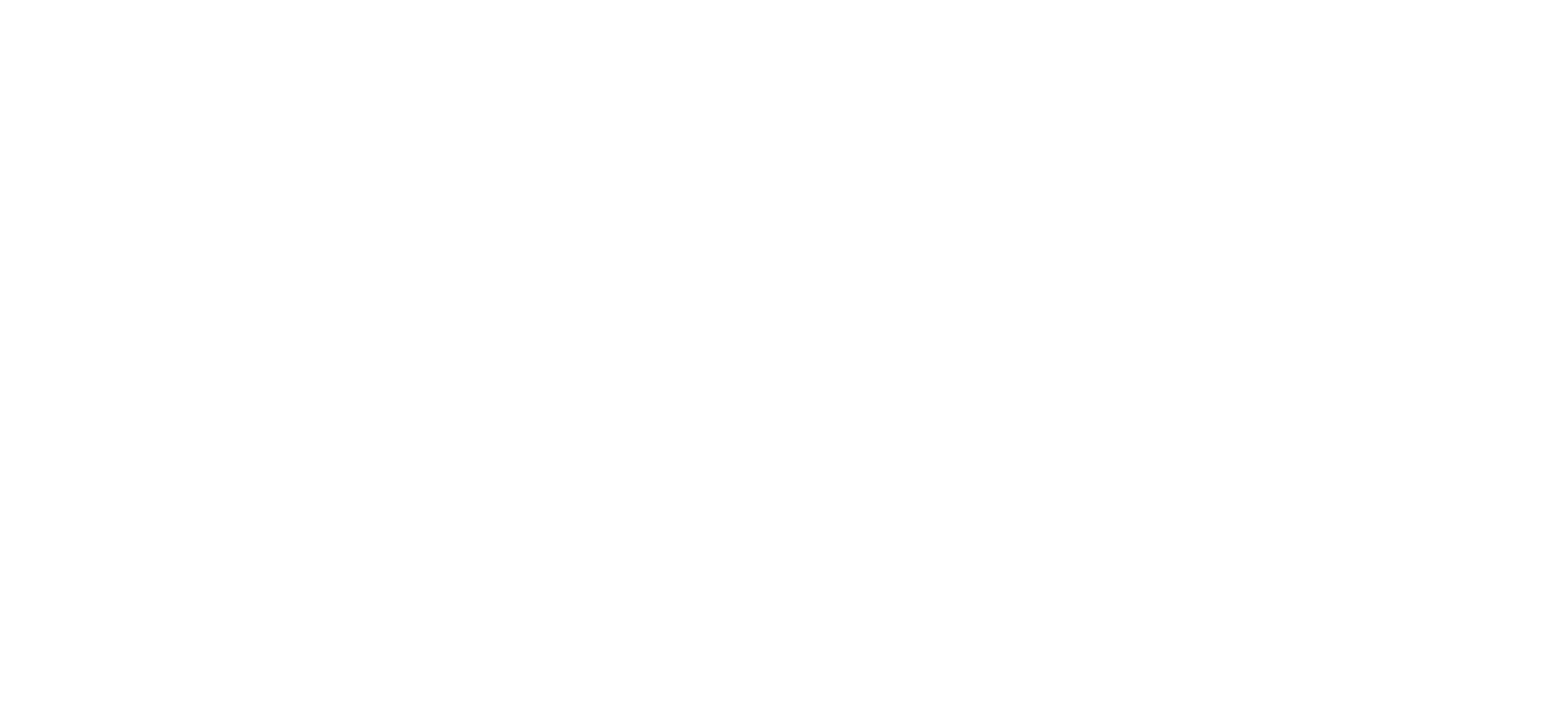 Zeise Productions Logo