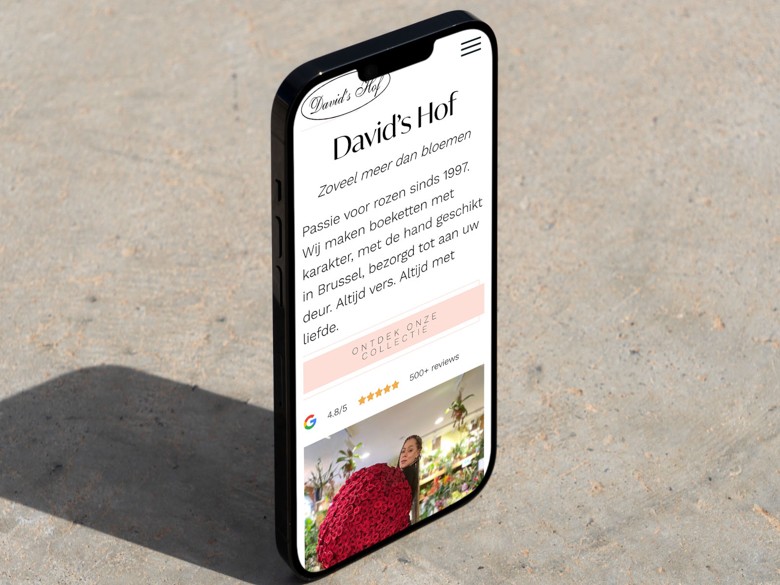 Heph studios portfolio davidshof