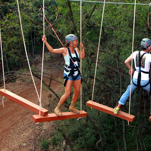 两位佩戴头盔和安全带的人在森林区域内穿越一座由木板构成的绳索桥。