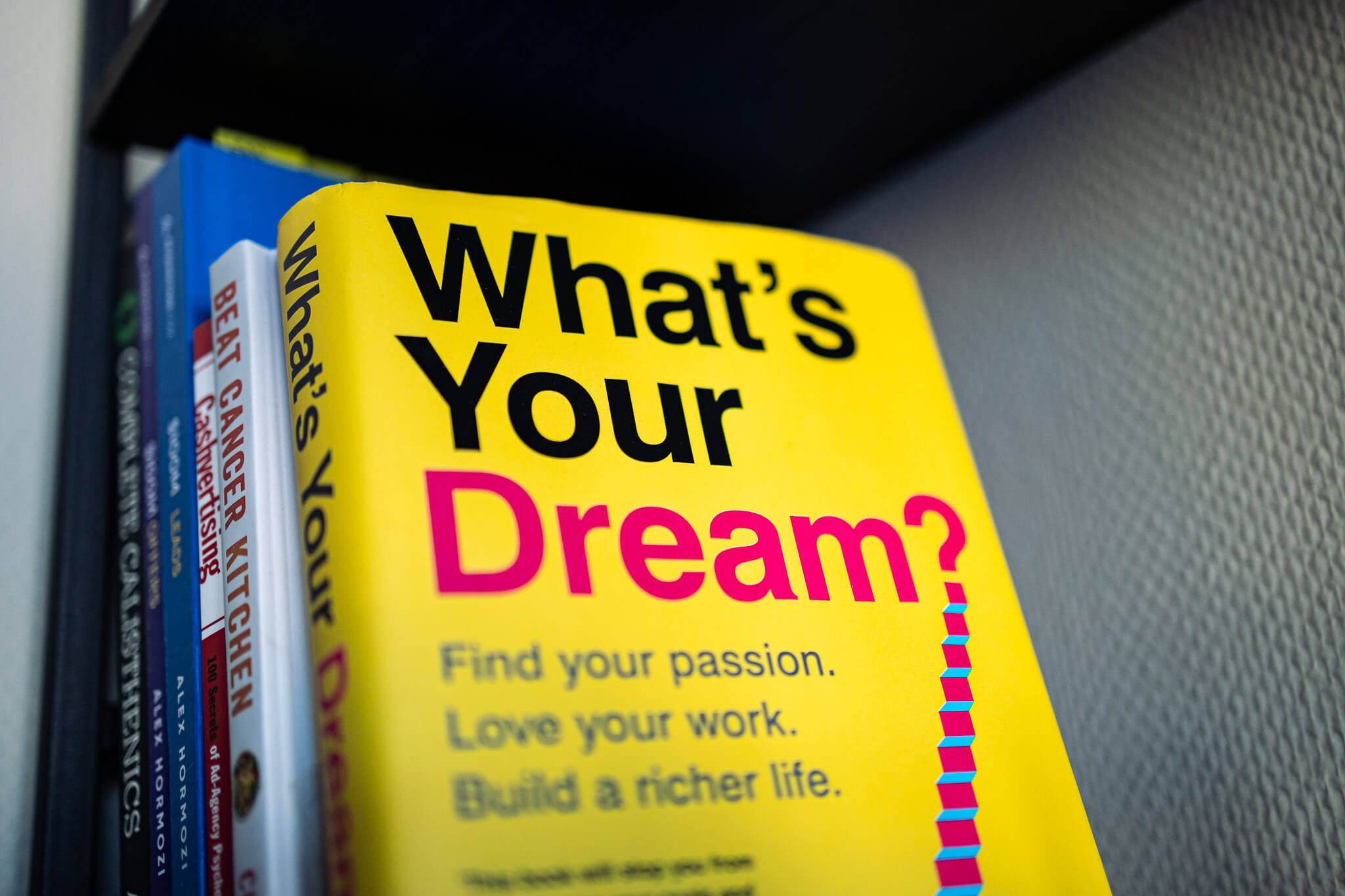 Bok Whats your dream