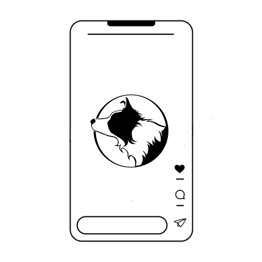 collienomics-follow