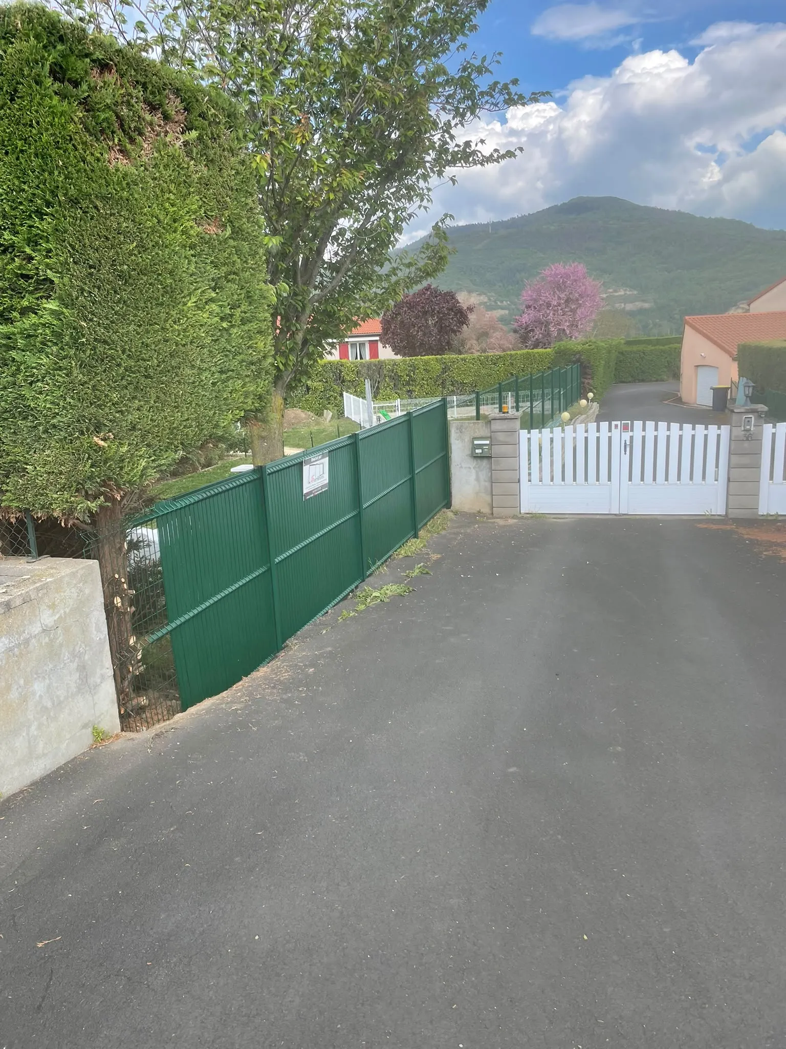 Clôture verte bordant une allée — AFermetures
