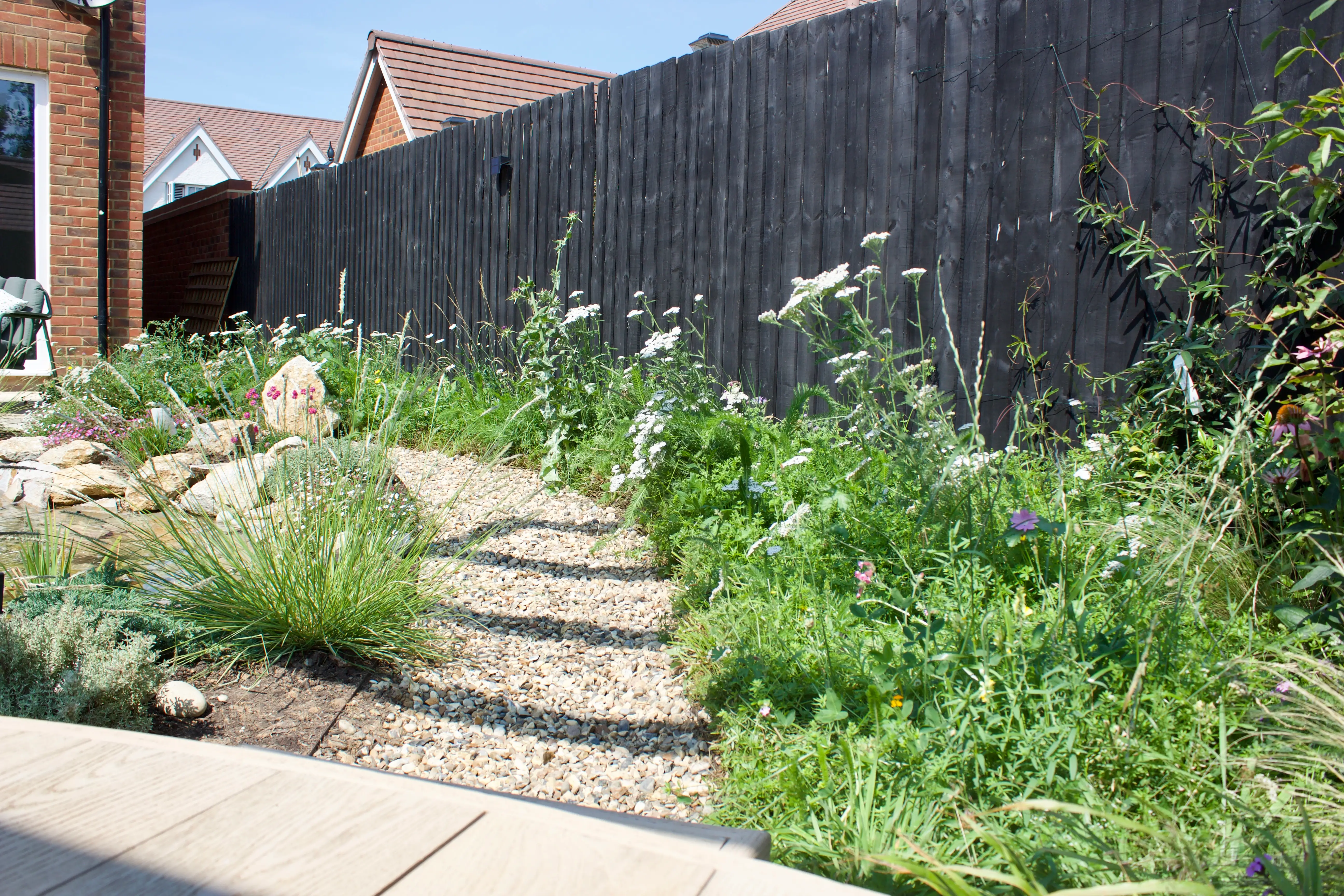 A sunny garden path lined with green plants and flowers, bordered by a wooden fence in the background.